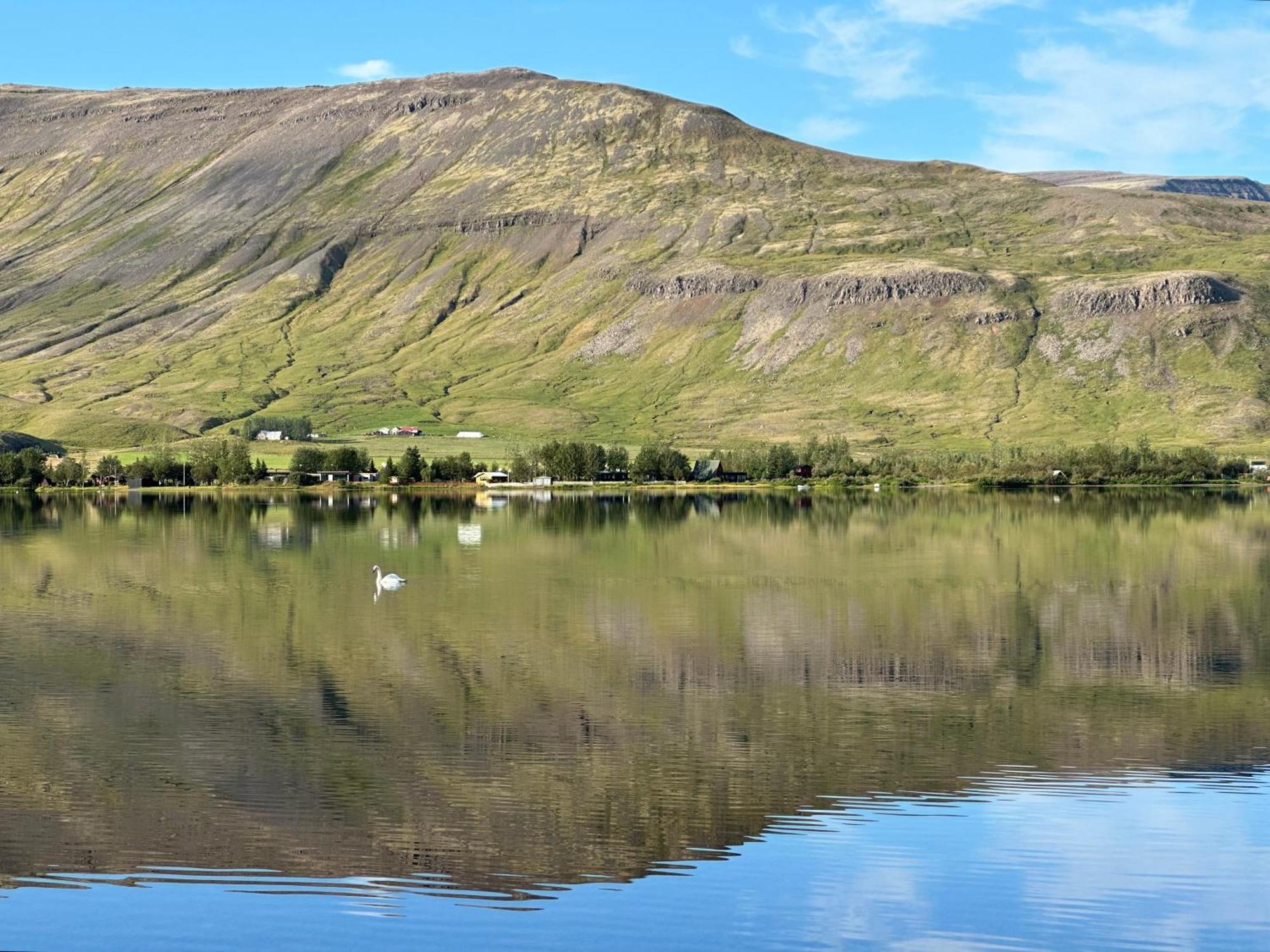 Cosy Lakeview Cabin 45 Minutes From Reykjavik Mosfellsbaer Bagian luar foto